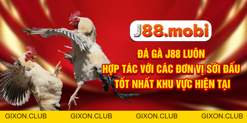 Đá Gà J88 Nơi Trực Tiếp Các Màn Tranh Đấu Đỉnh Cao - Gixon Đá Gà J88 Nơi Trực Tiếp Các Màn Tranh Đấu Đỉnh Cao - Gixon