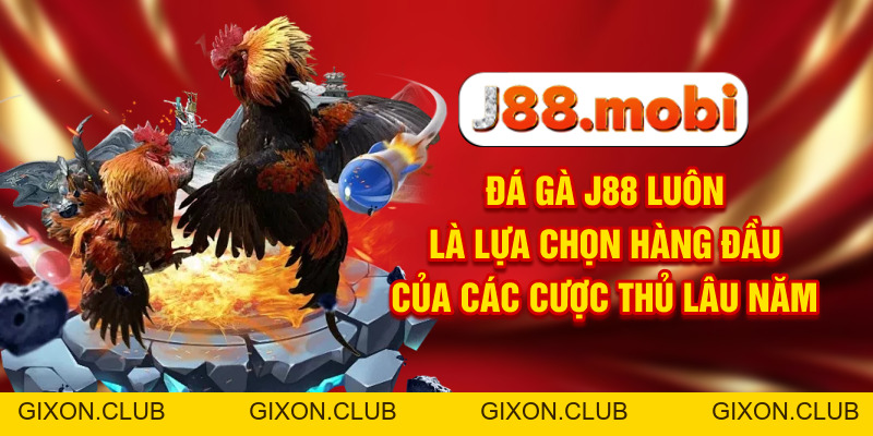 Đá Gà J88 Nơi Trực Tiếp Các Màn Tranh Đấu Đỉnh Cao - Gixon Đá Gà J88 Nơi Trực Tiếp Các Màn Tranh Đấu Đỉnh Cao - Gixon