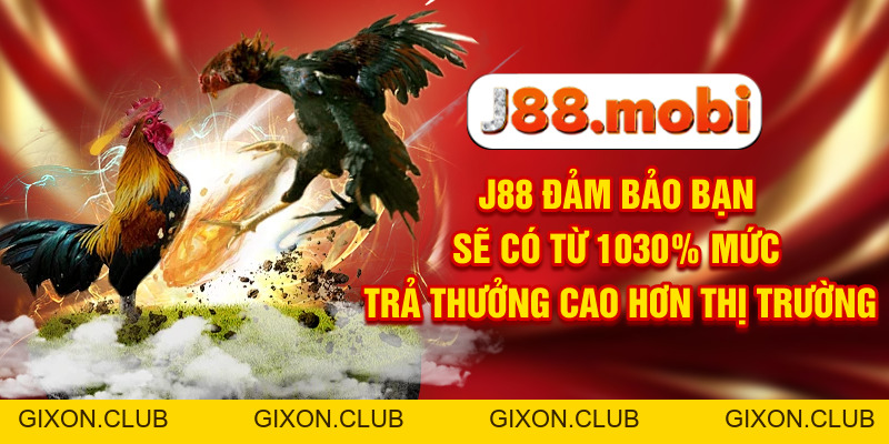 Đá Gà J88 Nơi Trực Tiếp Các Màn Tranh Đấu Đỉnh Cao - Gixon Đá Gà J88 Nơi Trực Tiếp Các Màn Tranh Đấu Đỉnh Cao - Gixon